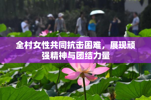 全村女性共同抗击困难，展现顽强精神与团结力量