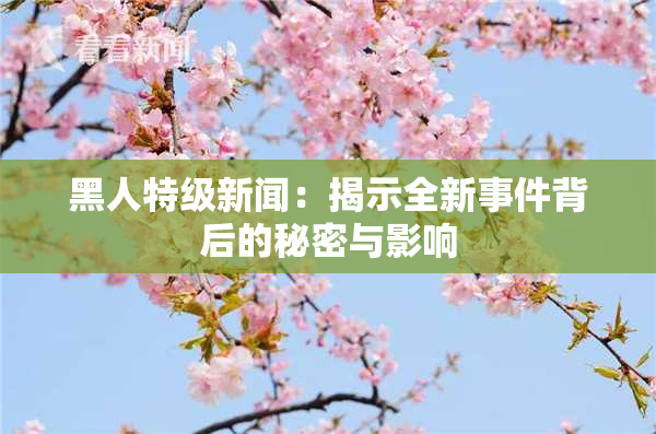 黑人特级新闻：揭示全新事件背后的秘密与影响