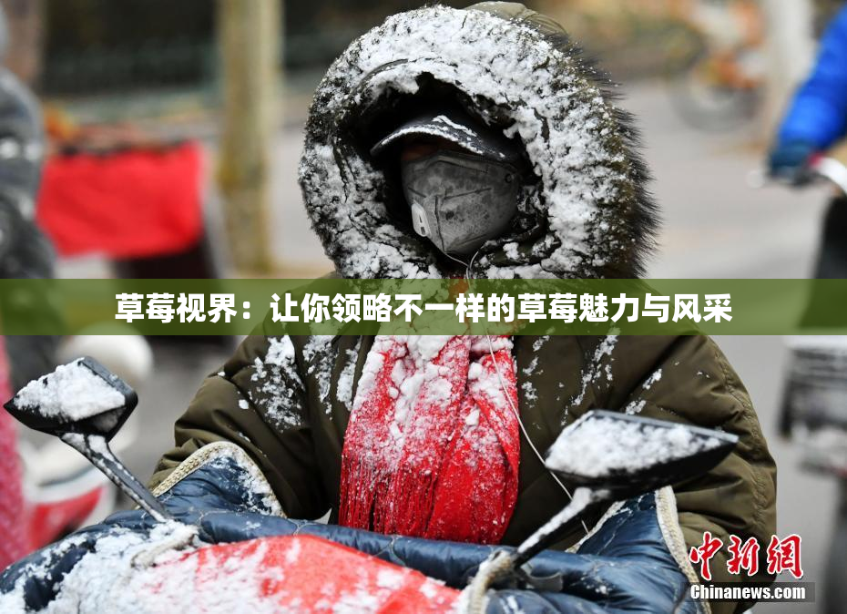 草莓视界：让你领略不一样的草莓魅力与风采