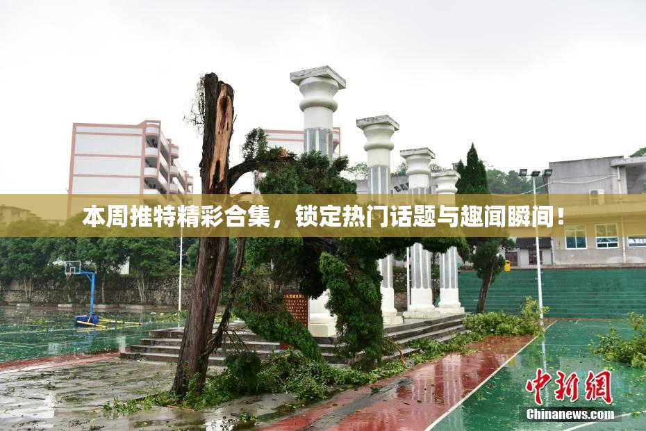 本周推特精彩合集，锁定热门话题与趣闻瞬间！