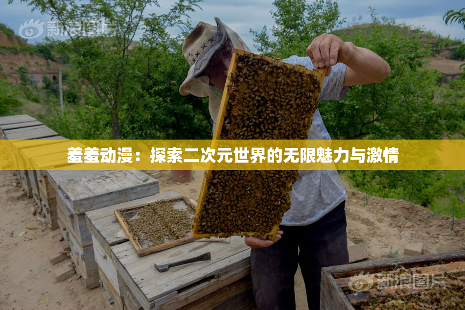 羞羞动漫：探索二次元世界的无限魅力与激情
