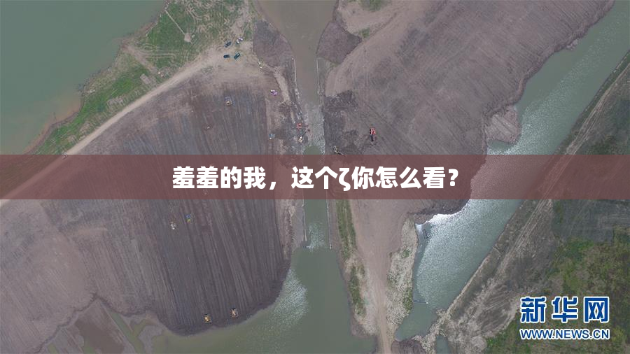 羞羞的我，这个ζ你怎么看？
