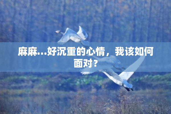 麻麻…好沉重的心情，我该如何面对？