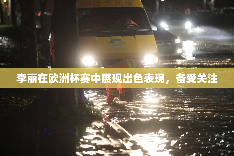 李丽在欧洲杯赛中展现出色表现，备受关注