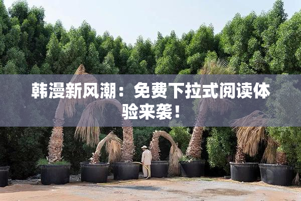 韩漫新风潮：免费下拉式阅读体验来袭！