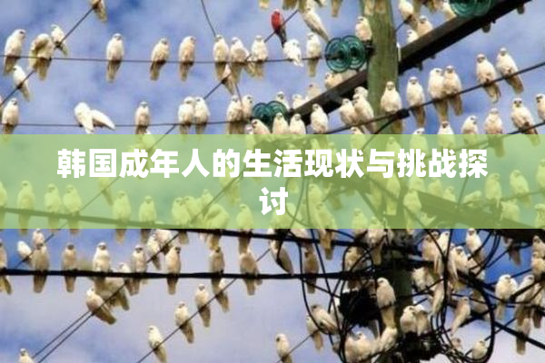 韩国成年人的生活现状与挑战探讨