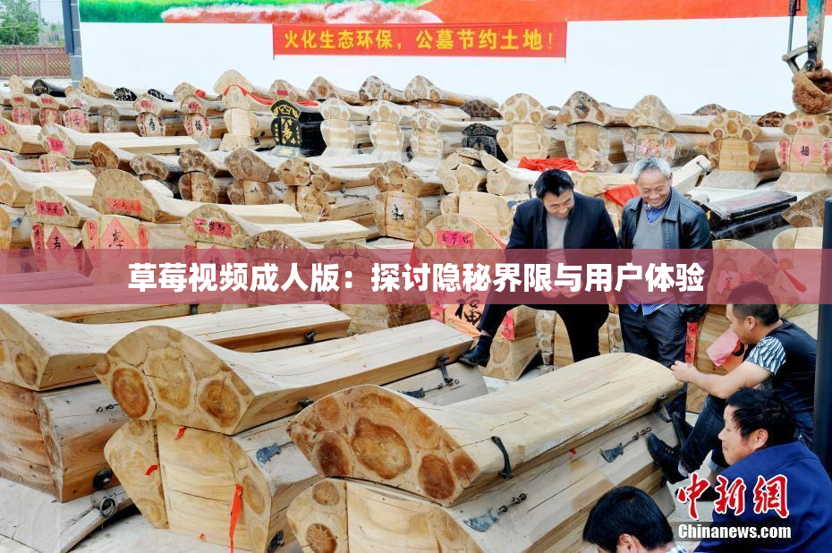 草莓视频成人版：探讨隐秘界限与用户体验