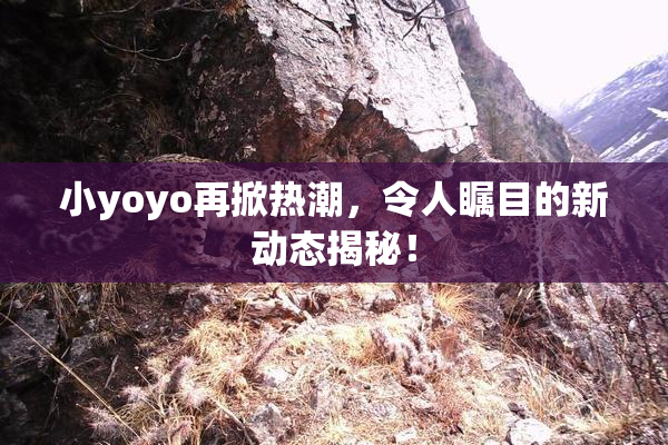 小yoyo再掀热潮，令人瞩目的新动态揭秘！