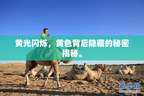 黄光闪烁，黄色背后隐藏的秘密揭秘。
