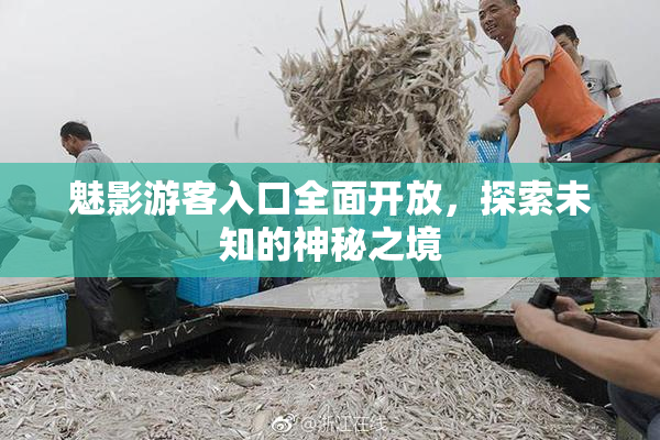 魅影游客入口全面开放，探索未知的神秘之境