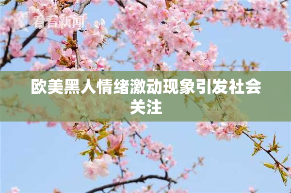 欧美黑人情绪激动现象引发社会关注
