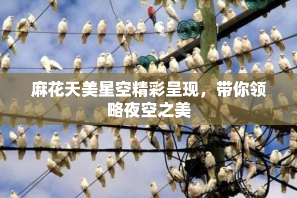 麻花天美星空精彩呈现，带你领略夜空之美