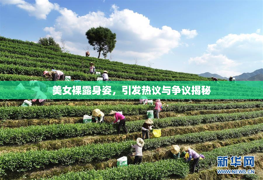美女裸露身姿，引发热议与争议揭秘