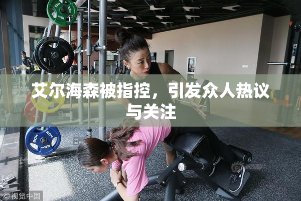艾尔海森被指控，引发众人热议与关注