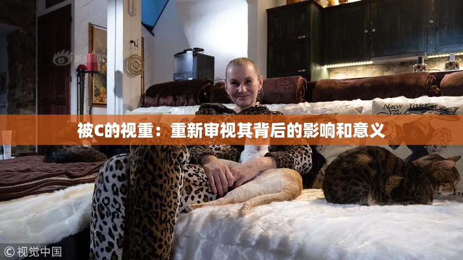 被C的视重：重新审视其背后的影响和意义