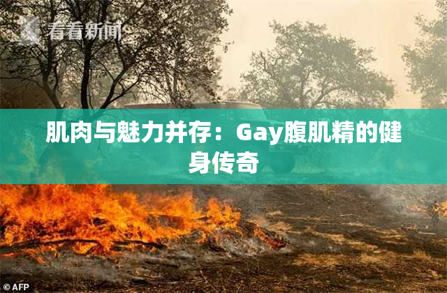 肌肉与魅力并存：Gay腹肌精的健身传奇