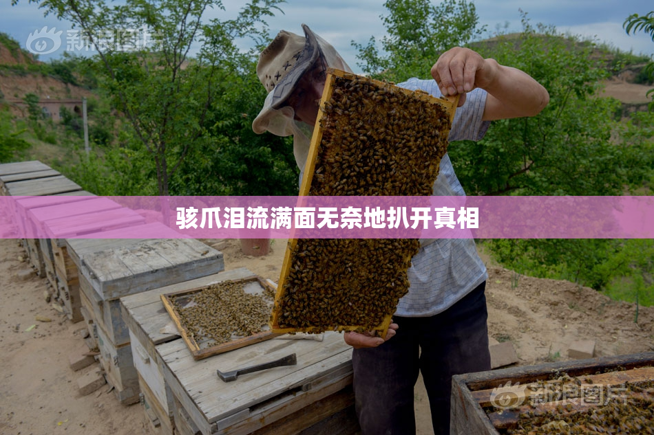 骇爪泪流满面无奈地扒开真相