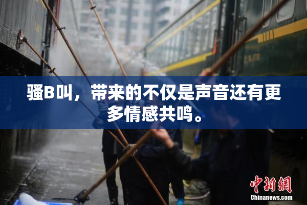 骚B叫，带来的不仅是声音还有更多情感共鸣。