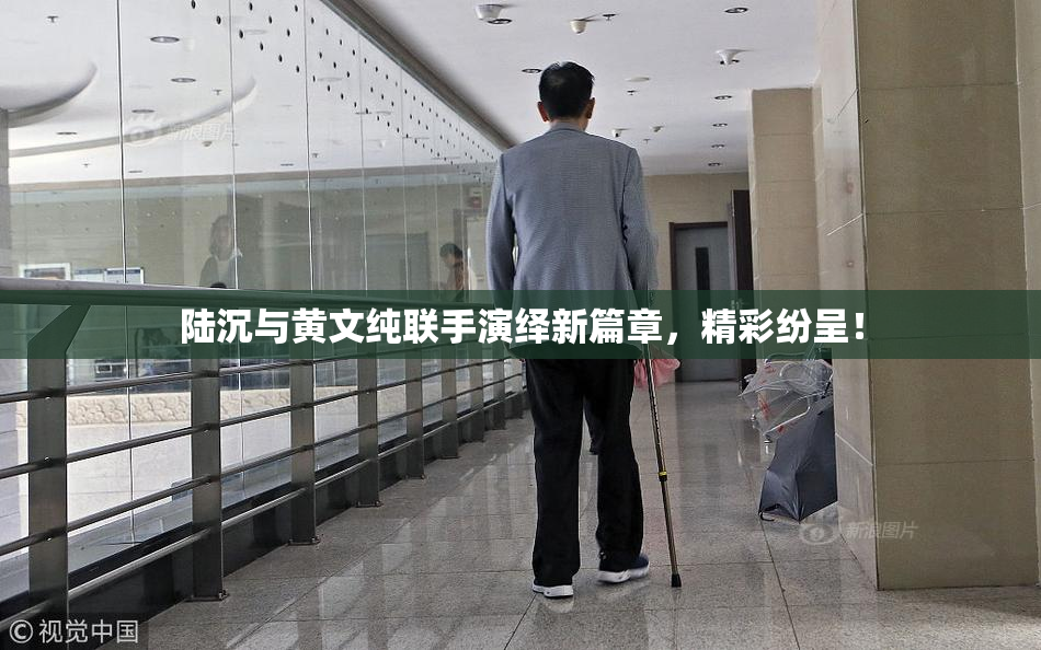 陆沉与黄文纯联手演绎新篇章，精彩纷呈！