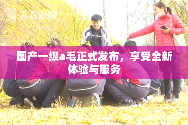 国产一级a毛正式发布，享受全新体验与服务