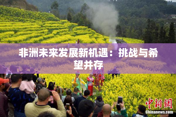 非洲未来发展新机遇：挑战与希望并存