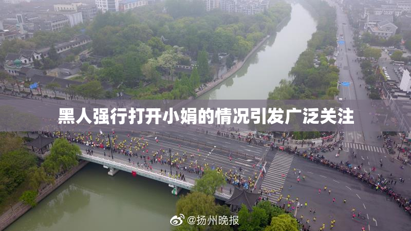 黑人强行打开小娟的情况引发广泛关注