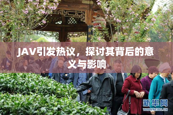 JAV引发热议，探讨其背后的意义与影响