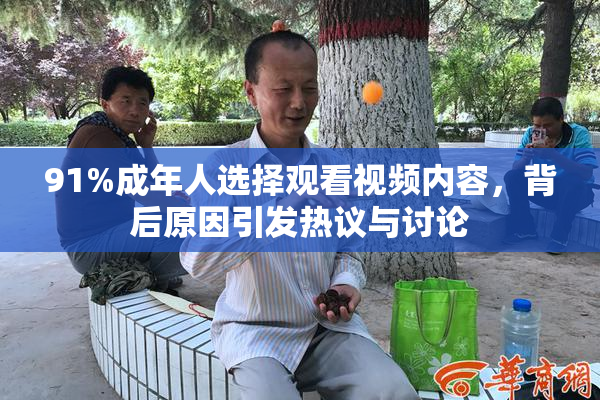 91%成年人选择观看视频内容，背后原因引发热议与讨论