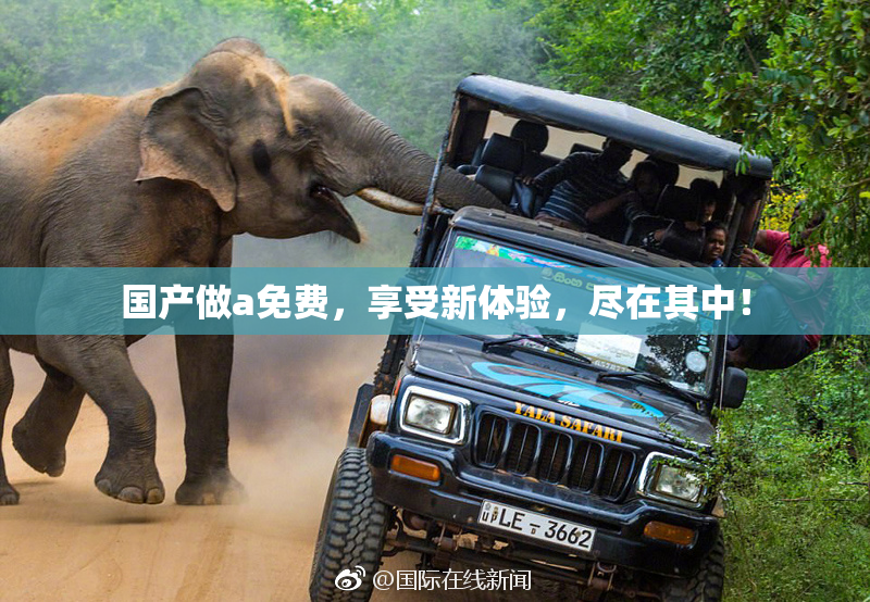 国产做a免费，享受新体验，尽在其中！