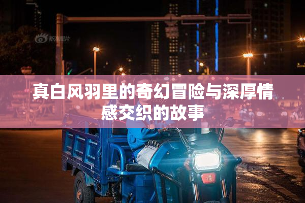 真白风羽里的奇幻冒险与深厚情感交织的故事