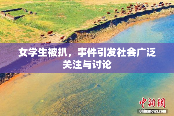 女学生被扒，事件引发社会广泛关注与讨论