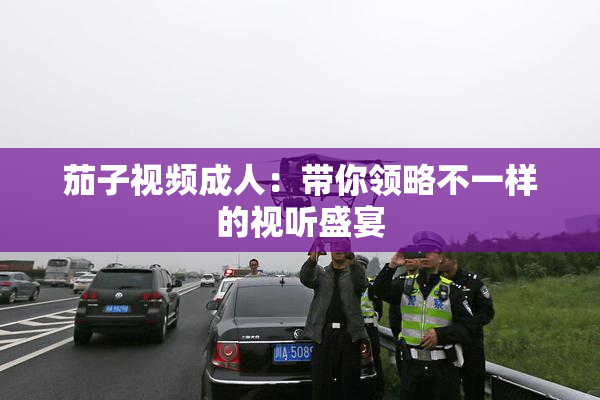 茄子视频成人：带你领略不一样的视听盛宴