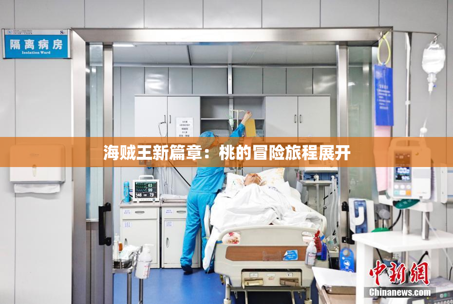 海贼王新篇章：桃的冒险旅程展开