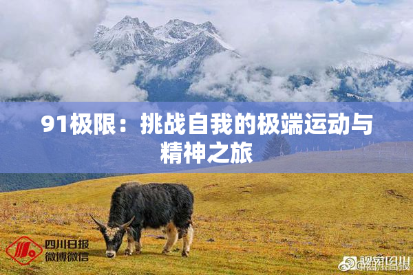 91极限：挑战自我的极端运动与精神之旅