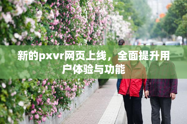 新的pxvr网页上线，全面提升用户体验与功能