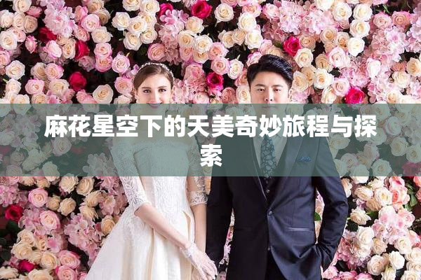 麻花星空下的天美奇妙旅程与探索