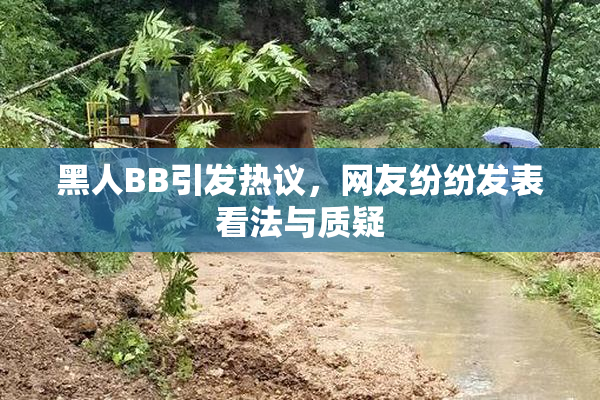 黑人BB引发热议，网友纷纷发表看法与质疑