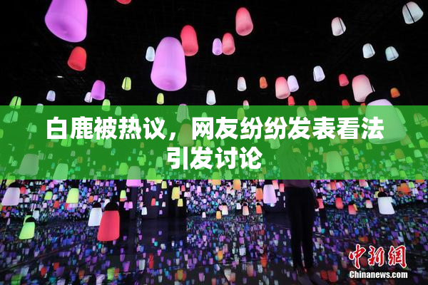 白鹿被热议，网友纷纷发表看法引发讨论