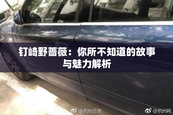 钉崎野蔷薇：你所不知道的故事与魅力解析