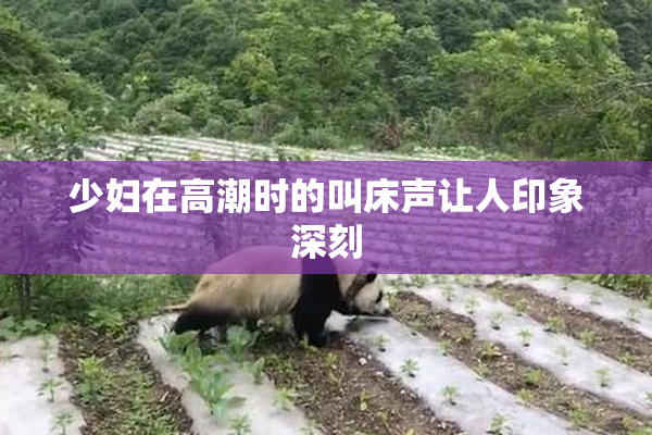 少妇在高潮时的叫床声让人印象深刻