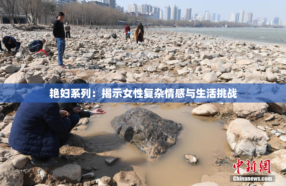 艳妇系列：揭示女性复杂情感与生活挑战