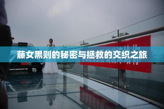藤女黑则的秘密与拯救的交织之旅