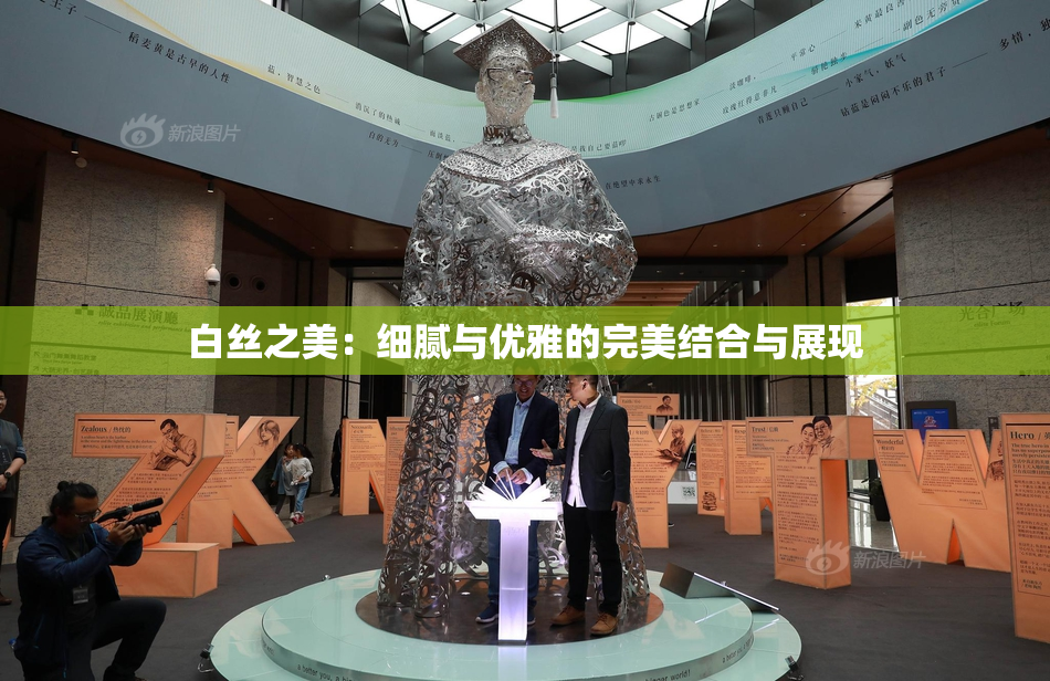 白丝之美：细腻与优雅的完美结合与展现