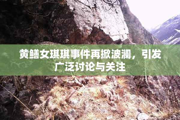 黄鳝女琪琪事件再掀波澜，引发广泛讨论与关注