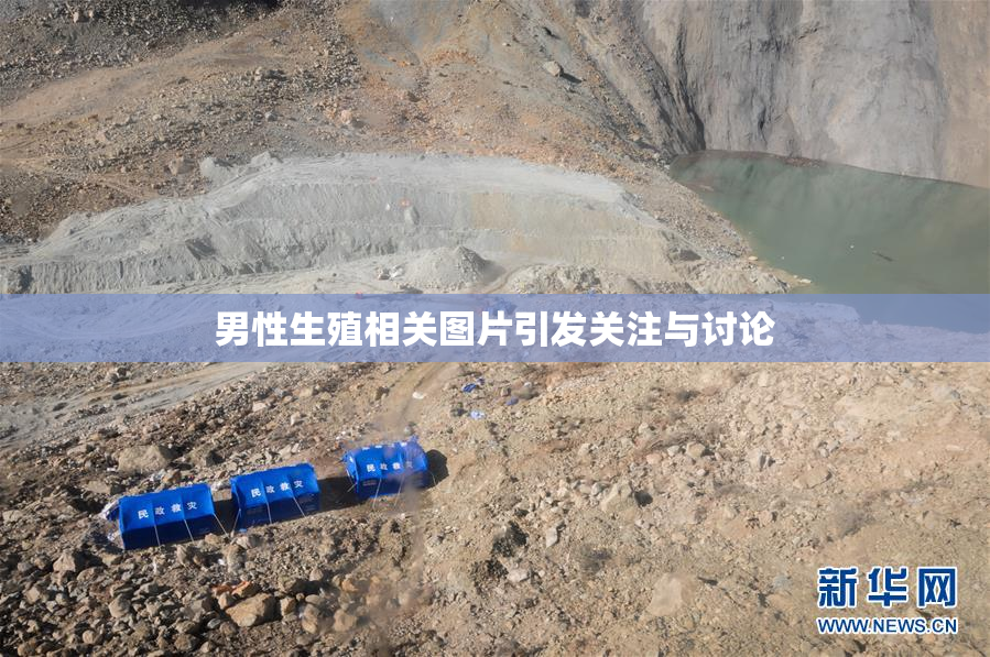 男性生殖相关图片引发关注与讨论