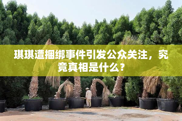 琪琪遭捆绑事件引发公众关注，究竟真相是什么？