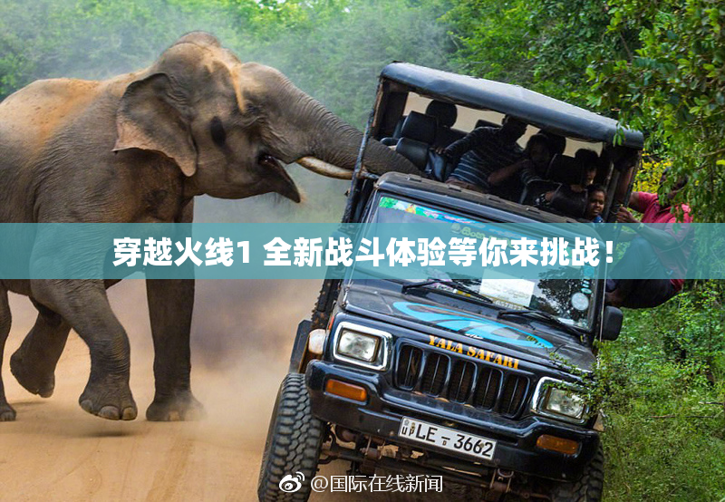 穿越火线1 全新战斗体验等你来挑战！