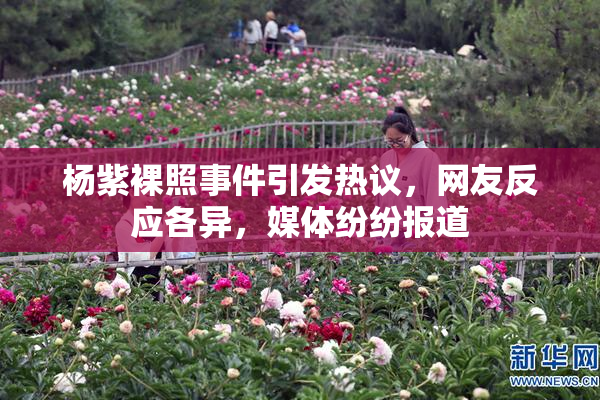 杨紫裸照事件引发热议，网友反应各异，媒体纷纷报道