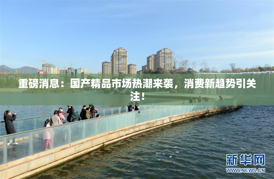 重磅消息：国产精品市场热潮来袭，消费新趋势引关注！