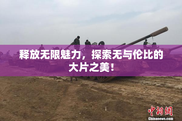 释放无限魅力，探索无与伦比的大片之美！